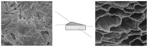 Preparation method and application of a skin repair airgel dressing