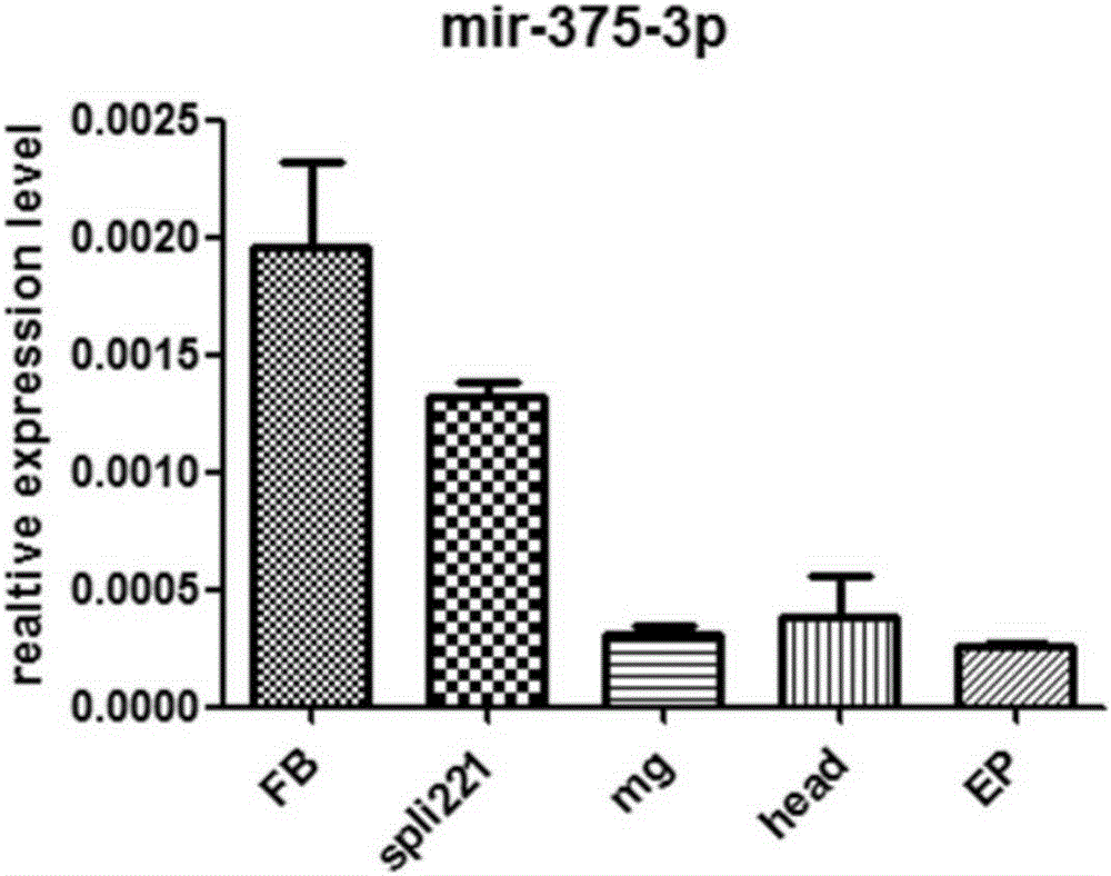 Application of miR-375-3p in prevention and treatment of lepidoptera pests