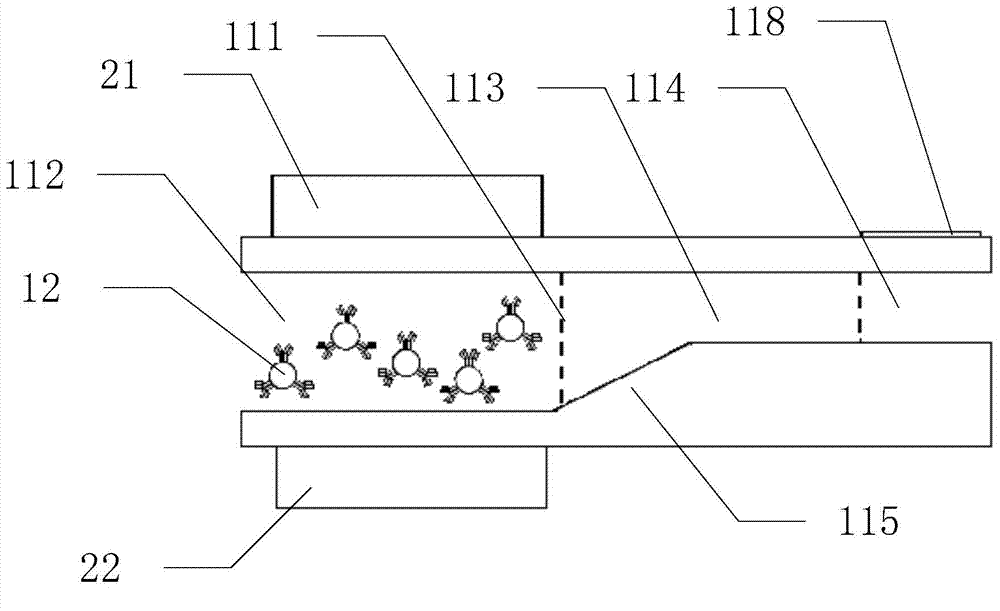 Whole-blood labeled immunoassay method and instant detection system