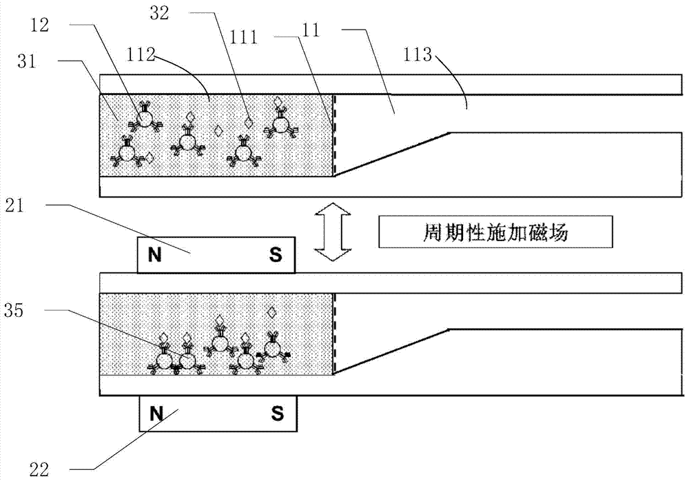Whole-blood labeled immunoassay method and instant detection system