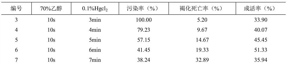 A kind of tissue culture method of Butterfly Cherry