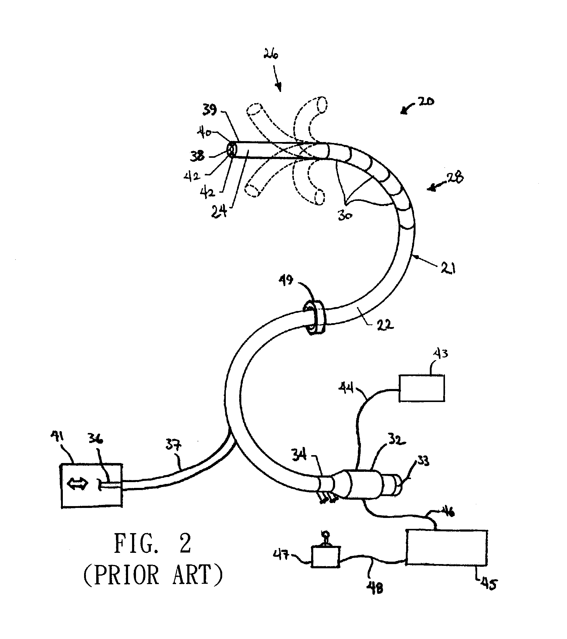 Endoscopy apparatus having high degree of motion freedom and operating method thereof