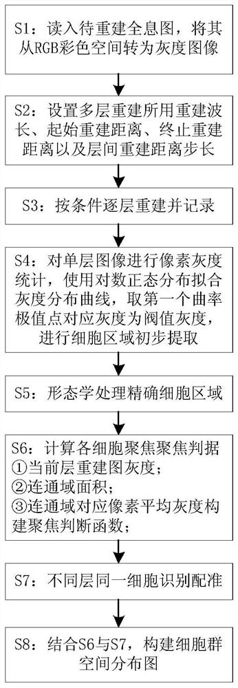 Construction method of cell population spatial distribution based on multi-layer holographic reconstruction and focusing strategy