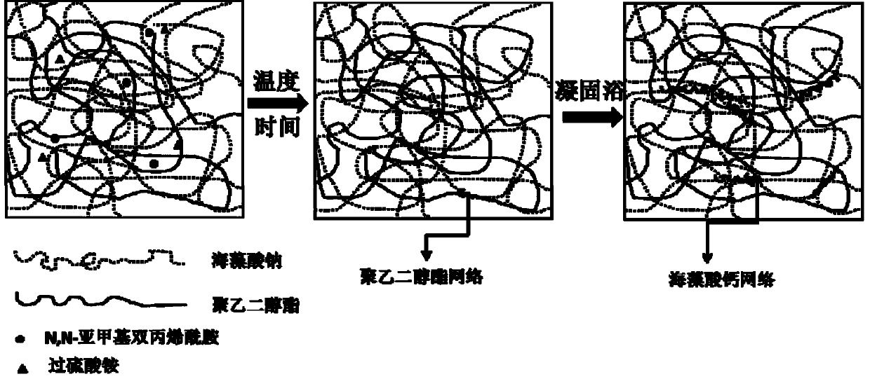 Calcium alginate/macrogol ester double-network phase-change energy-storing fiber and preparation method thereof