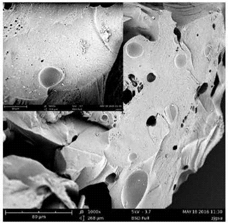 Amino-terminated hyperbranched polyamide chlorinated peanut shells and application thereof in separation and detection of sunset yellow in food