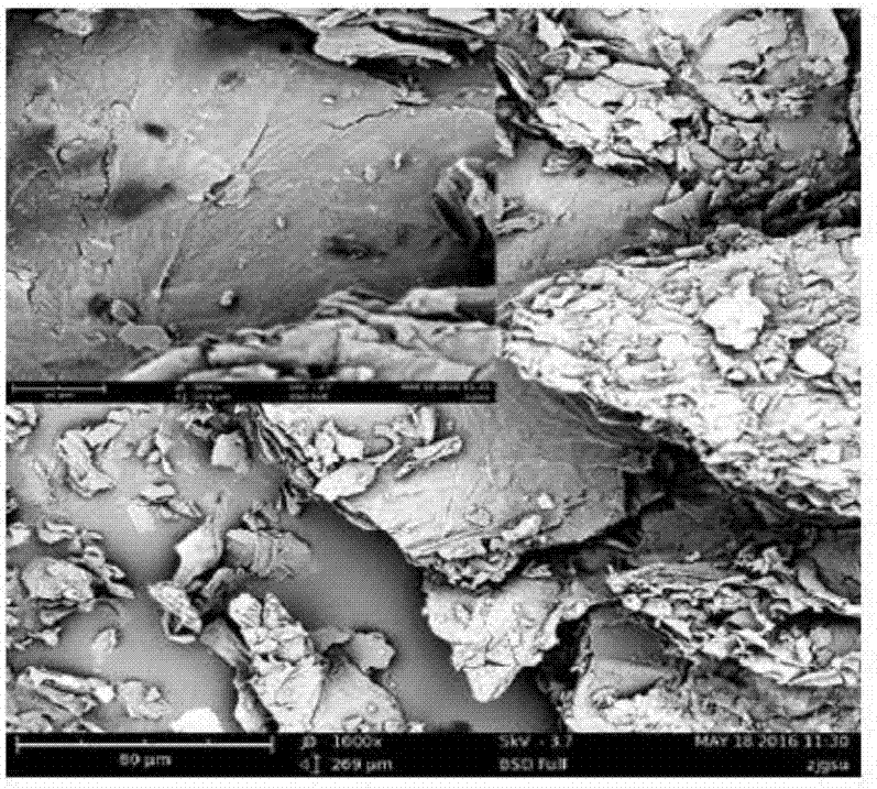 Amino-terminated hyperbranched polyamide chlorinated peanut shells and application thereof in separation and detection of sunset yellow in food