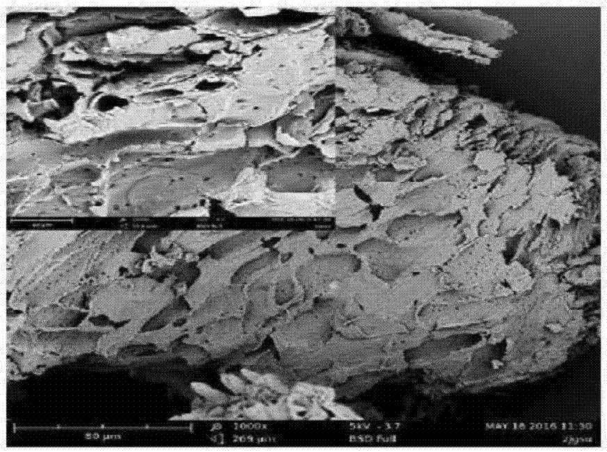 Amino-terminated hyperbranched polyamide chlorinated peanut shells and application thereof in separation and detection of sunset yellow in food