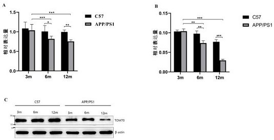 Biomarker for diagnosing Alzheimer's disease and progress of Alzheimer's disease and application of biomarker