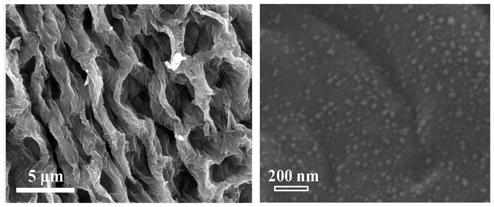 A kind of preparation method of biomass carbon material doped with molybdenum phosphide nanoparticles with pore network structure