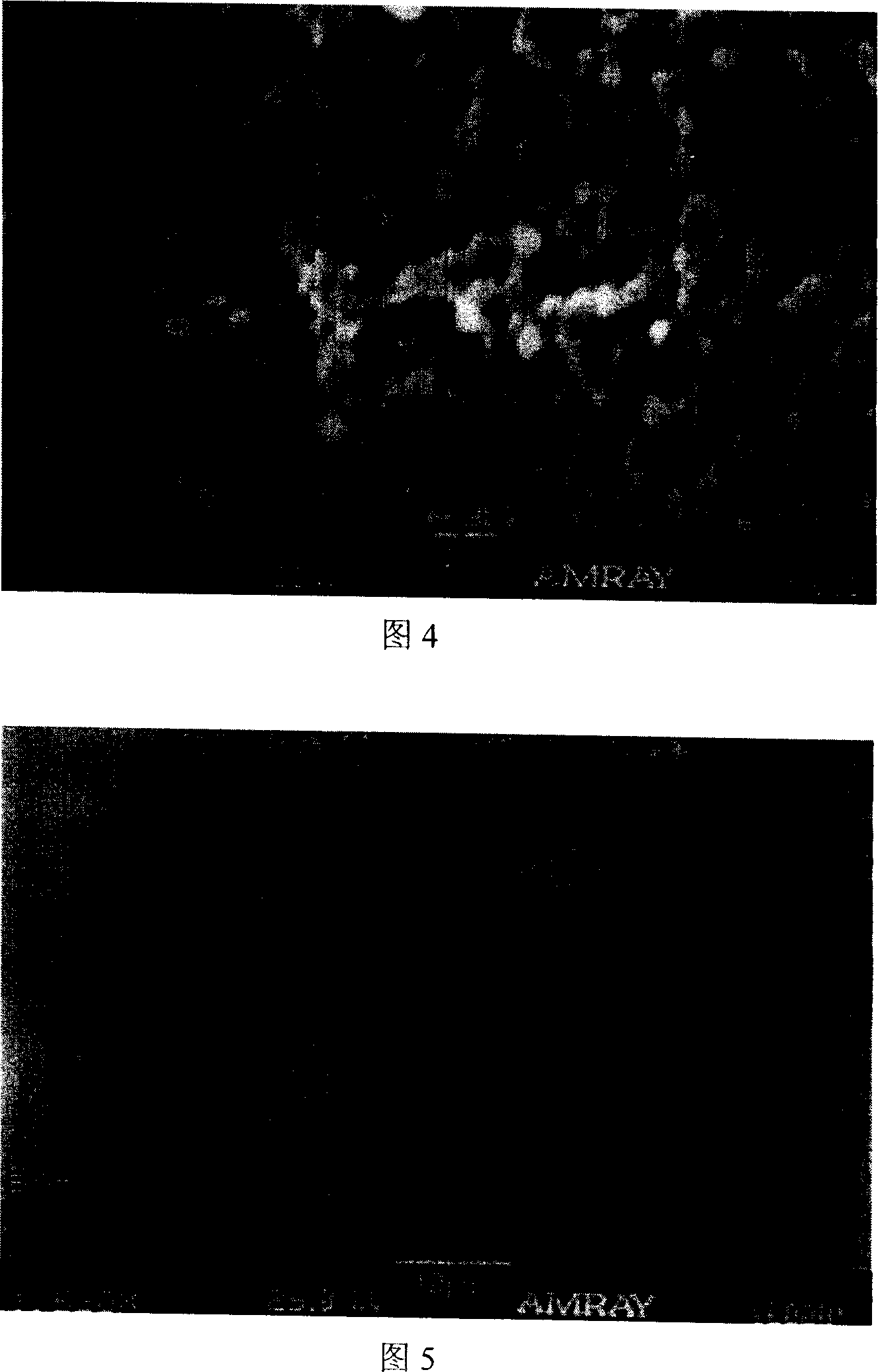 Preparation method of high molecule microfilter membrane and porogenic agent