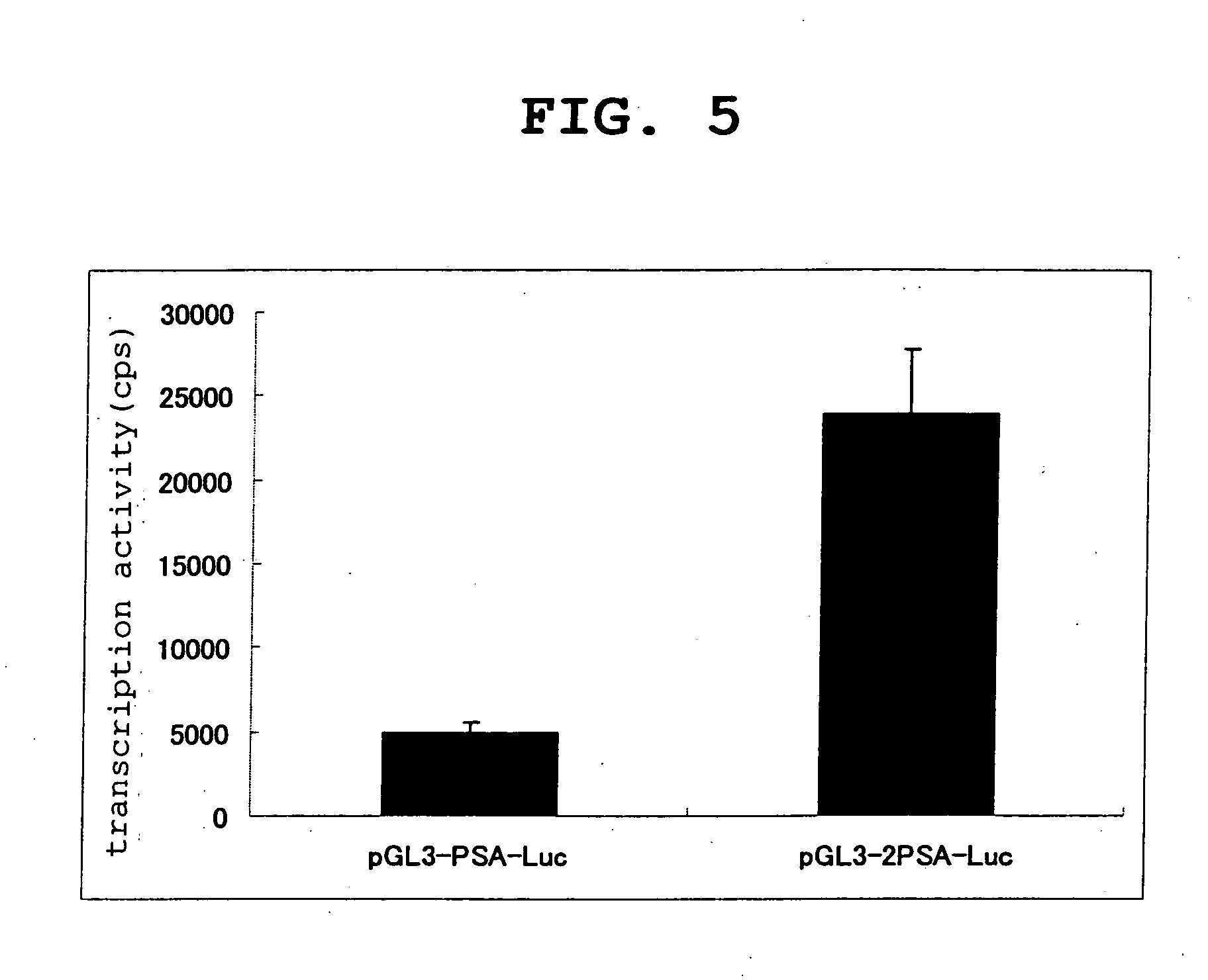 Mutant androgen receptor, cancer cells expressing the same, a method of producing them and use thereof