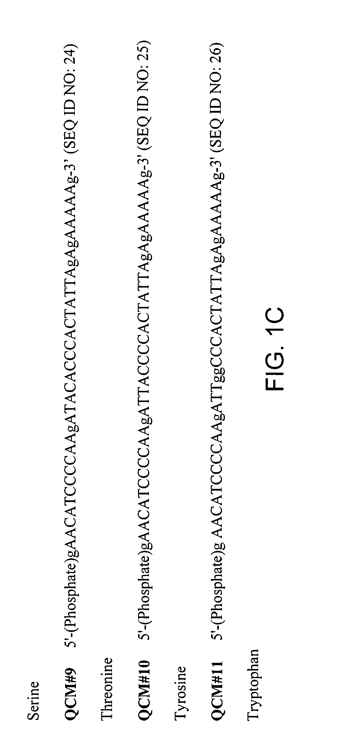 DNA polymerase blends and uses thereof