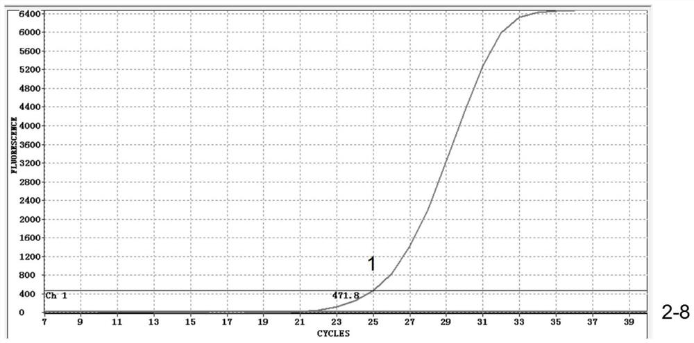 Dual fluorescence freeze-dried microchip, kit and method for detecting novel coronavirus 2019-ncov