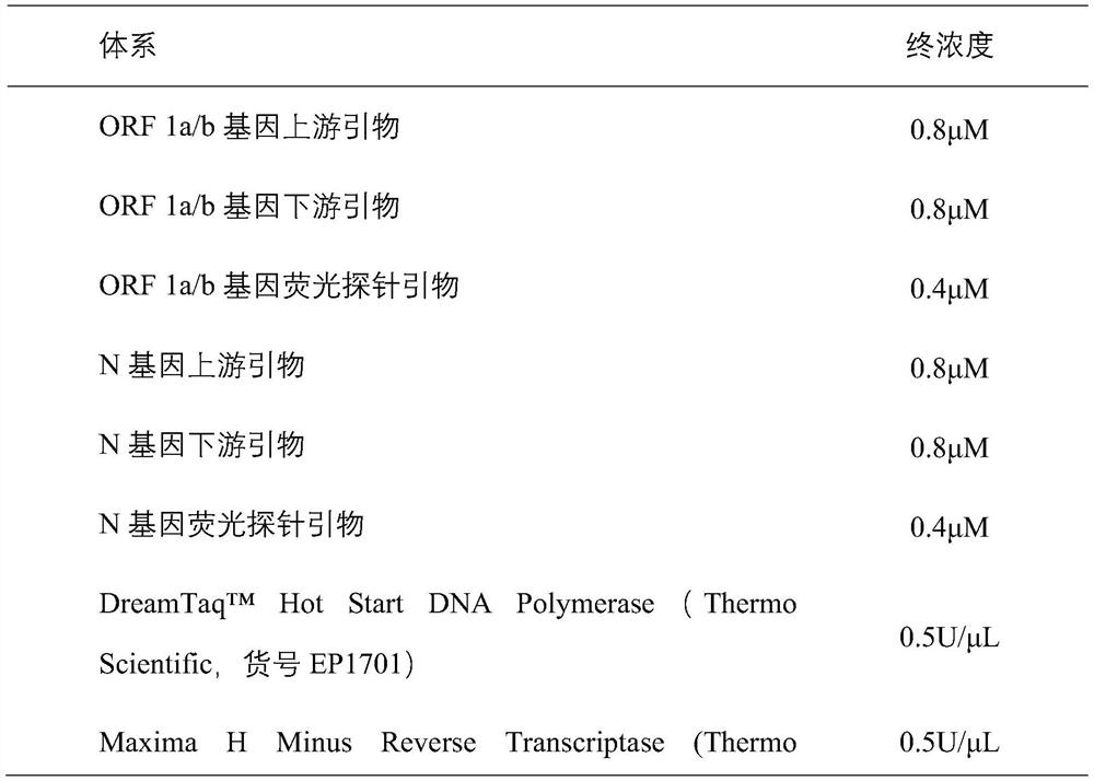 Dual fluorescence freeze-dried microchip, kit and method for detecting novel coronavirus 2019-ncov