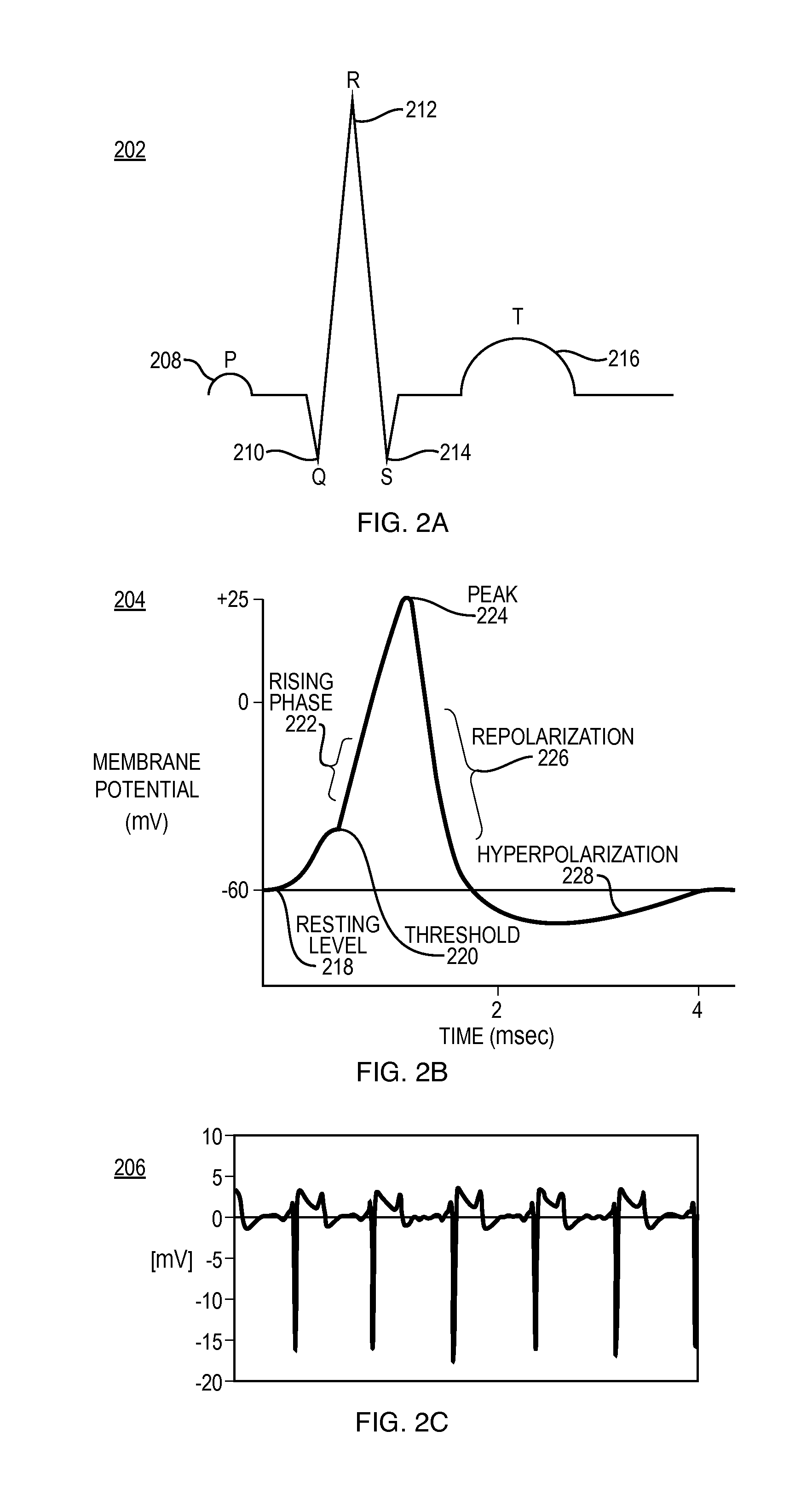 Systems and Methods for Heart and Activity Monitoring