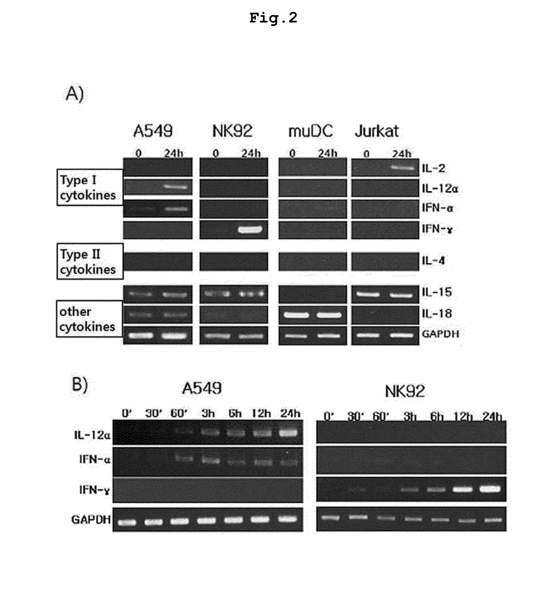 Daphne genkwa extracts, and pharmaceutical composition containing fractions of the extracts or compounds separated from the extracts as active ingredients for preventing or treating atopic dermatitis