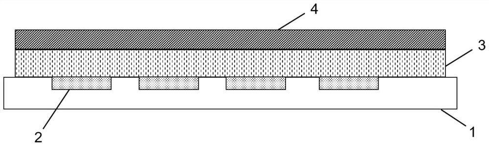 Negative plate and lithium ion battery comprising same