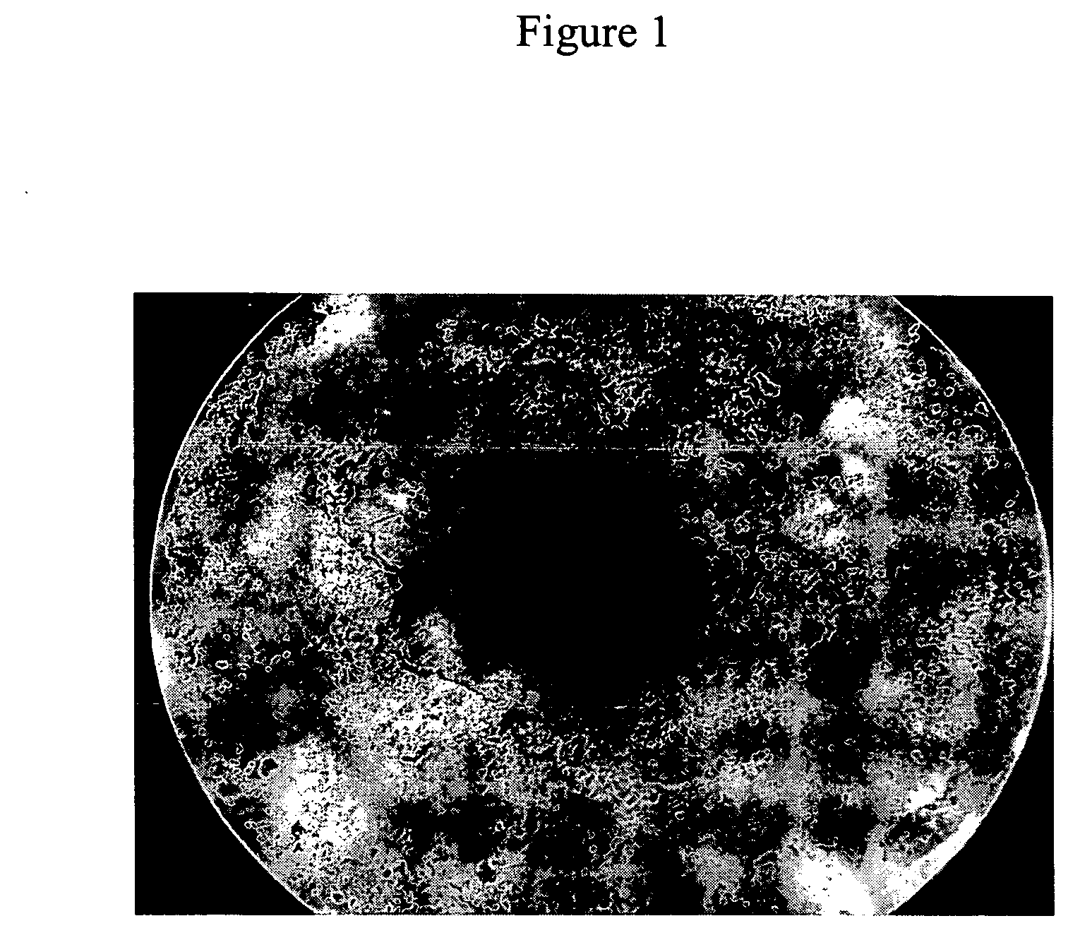 Method for annealing group IIA metal fluoride crystals