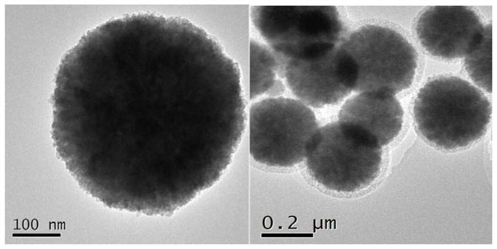 A kind of molecularly imprinted microsphere and its application method