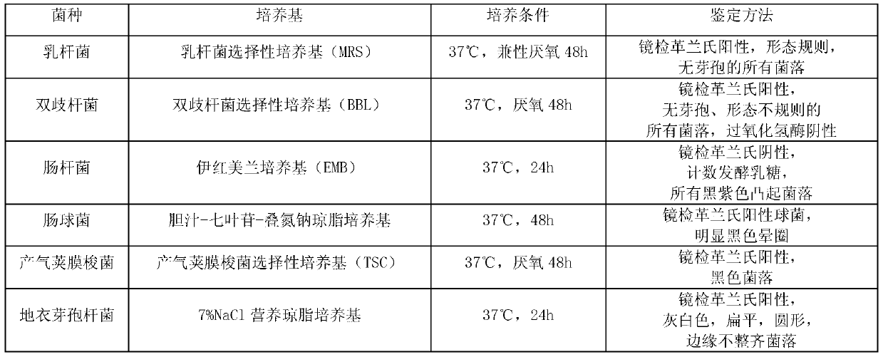 High-dose bacillus licheniformis viable bacterium composition as well as preparation method and application thereof