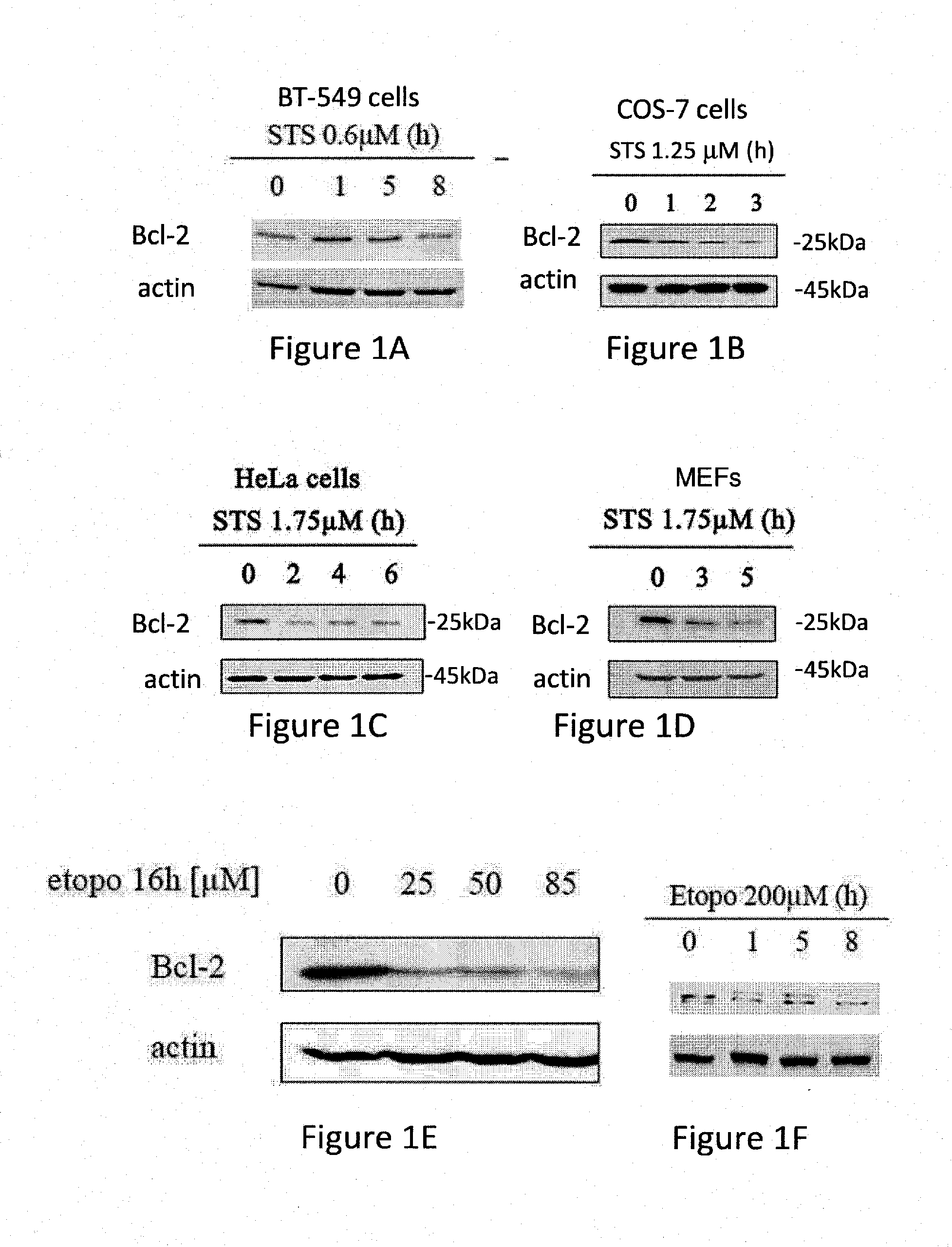 ANTAGONISTS OF Bcl-2 AND USES THEREOF IN INDUCTION OF APOPTOSIS