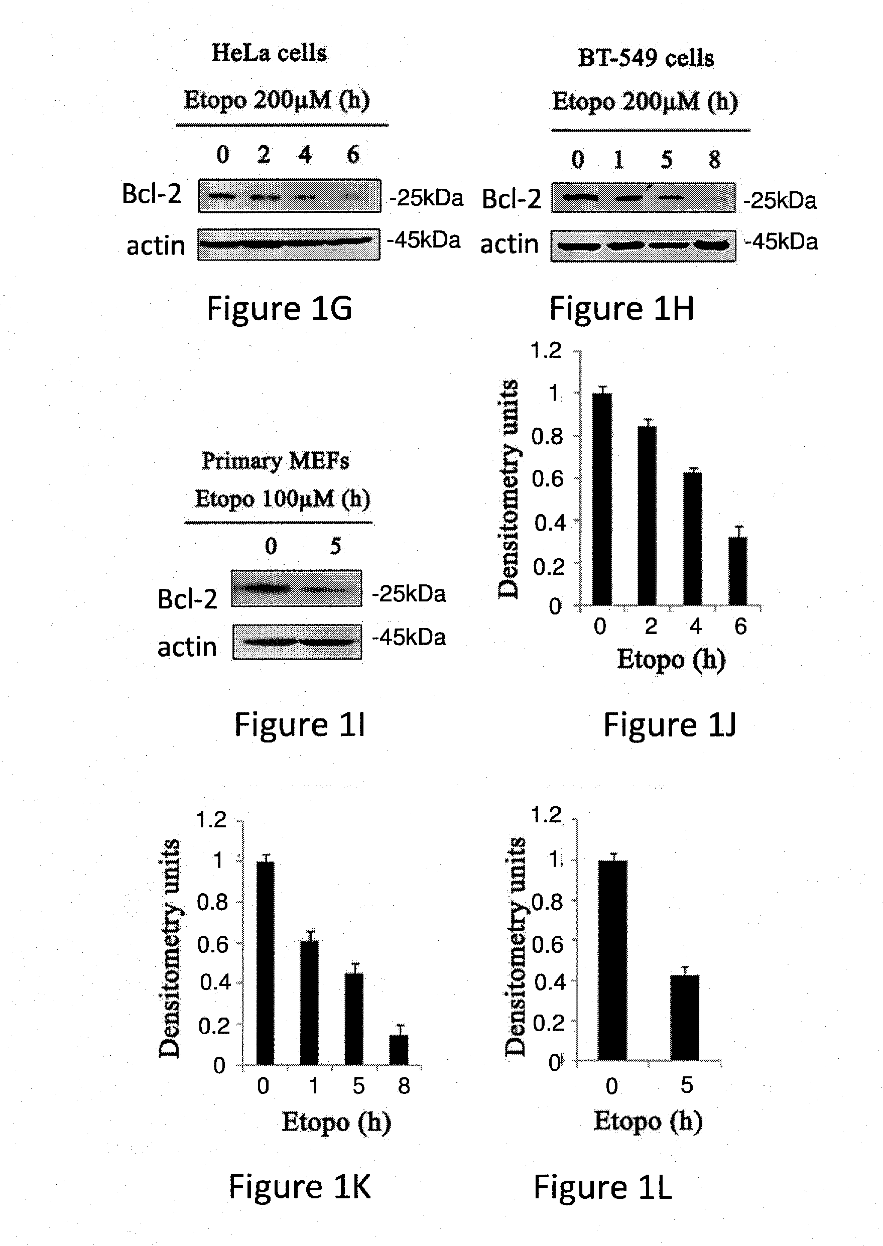 ANTAGONISTS OF Bcl-2 AND USES THEREOF IN INDUCTION OF APOPTOSIS