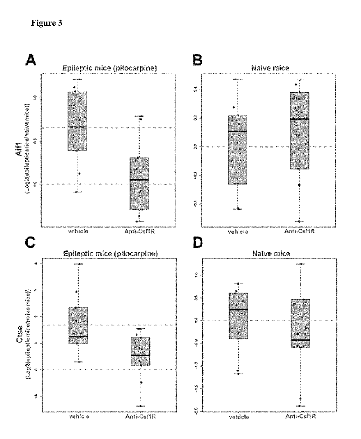 Method for the treatment of epilepsy, epileptogenesis, seizures or convulsions by an anti-colony-stimulating factor 1 receptor (CSF-1R) antibody