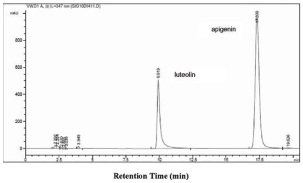 A kind of celery seed extract and its preparation method and application