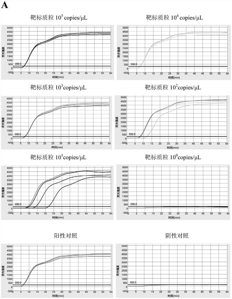 Primers and kit for efficient triple detection of SVCV, IHNV and CEV