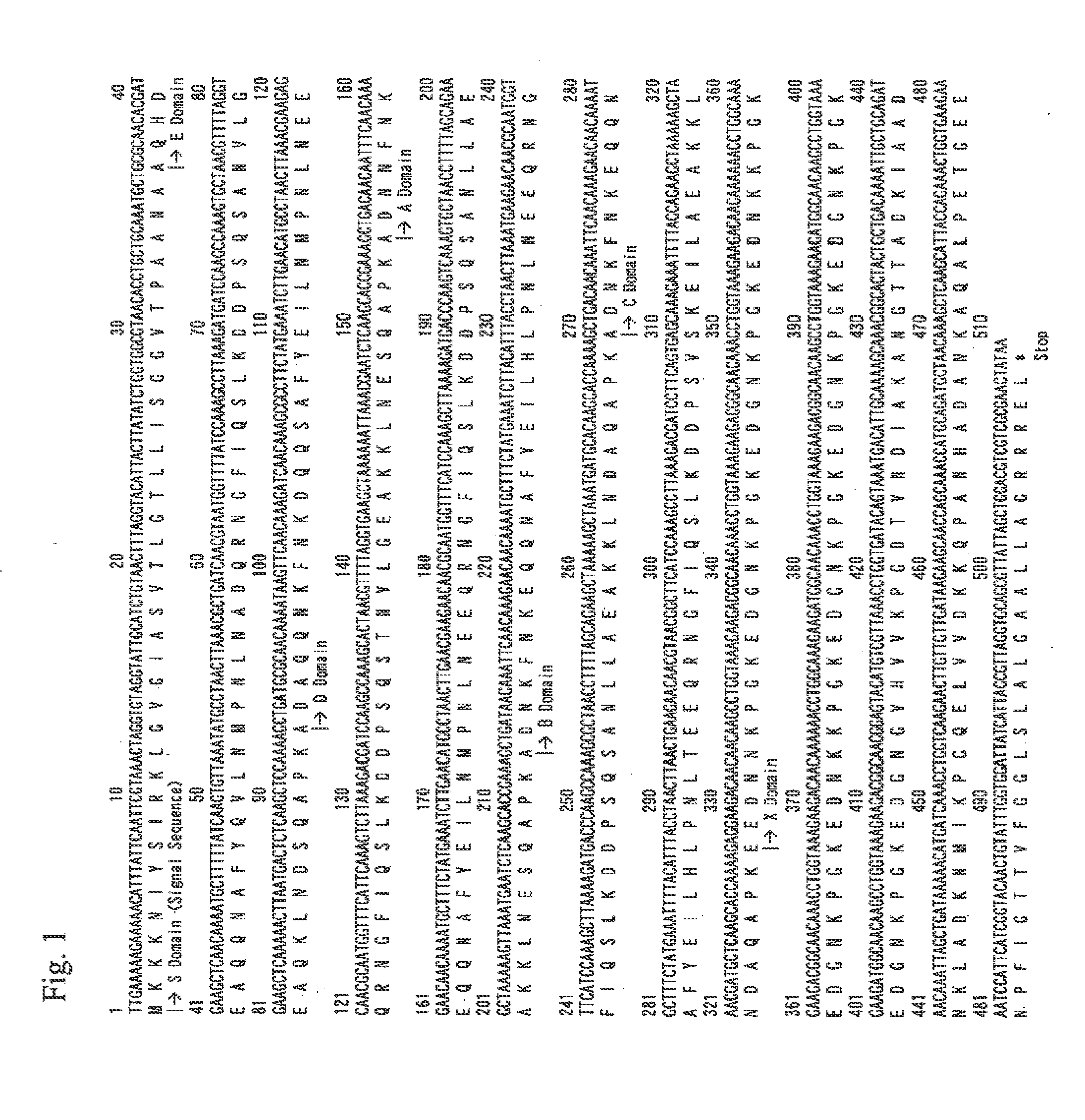 Process for producing protein a-like protein with use of brevibacillus genus bacterium