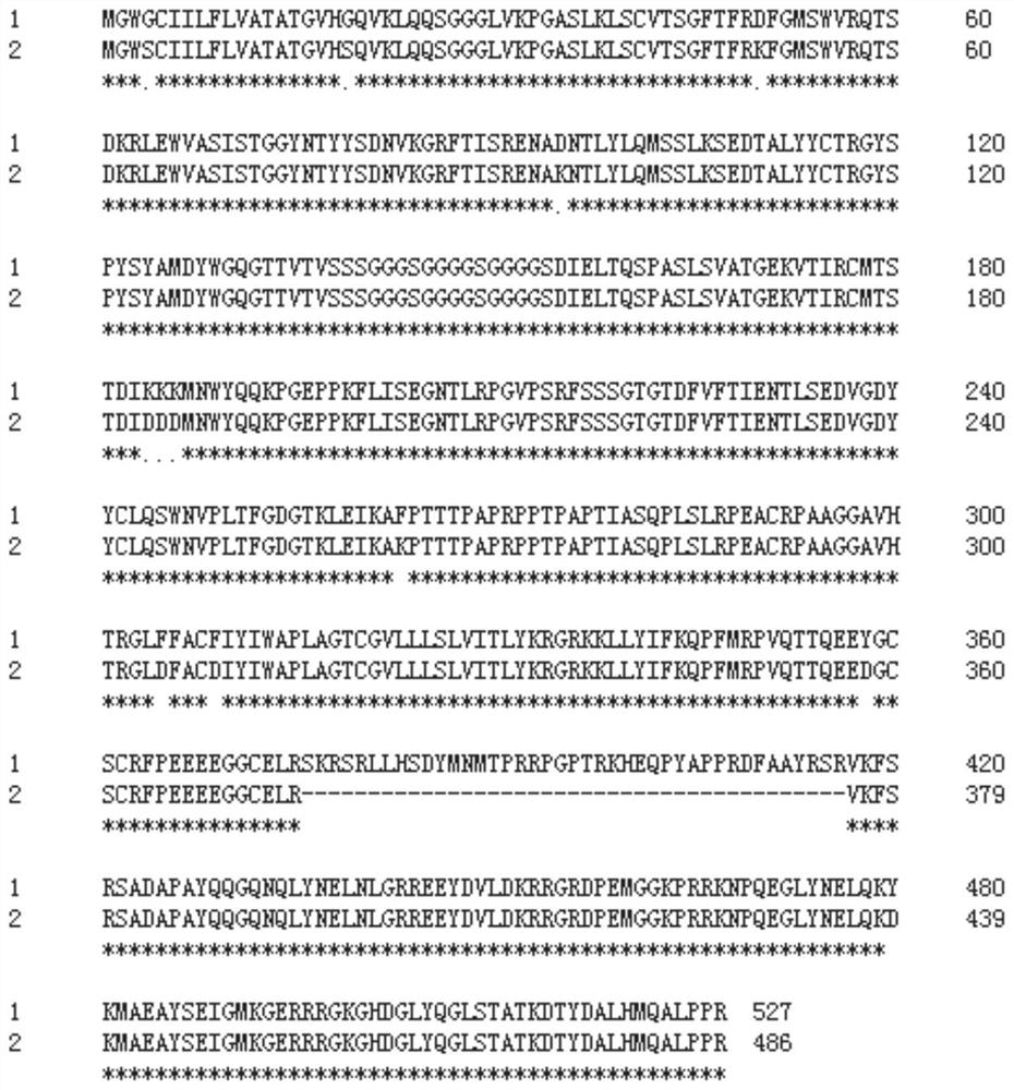 A chimeric antigen receptor, chimeric antigen receptor umbilical cord blood nucleated cells and application thereof