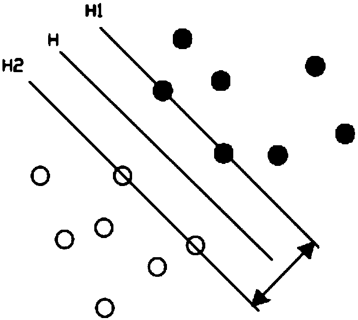 Method for detecting kinds of edible oil through low field MRI (Magnetic Resonance Imaging)