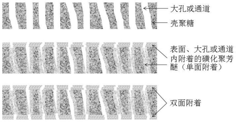 Chitosan-based composite membrane and preparation method thereof