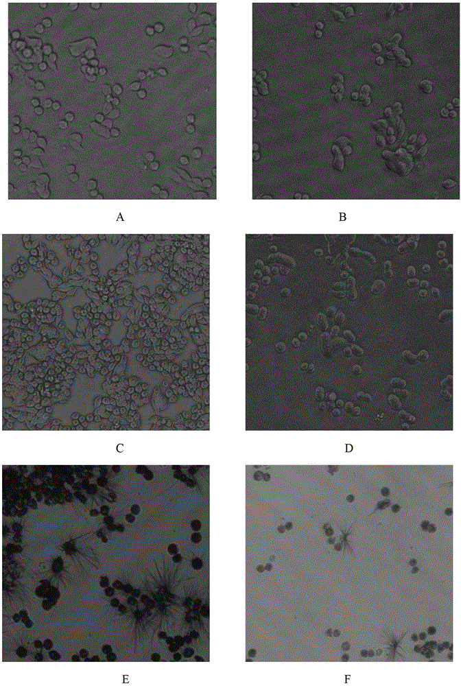 Anti-cancer pellet and colonic targeting agent