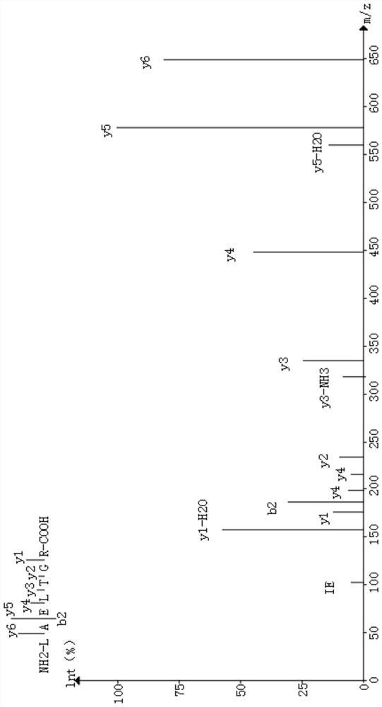 Skin aging protein marker-BRCC3 protein and non-invasive extraction method thereof