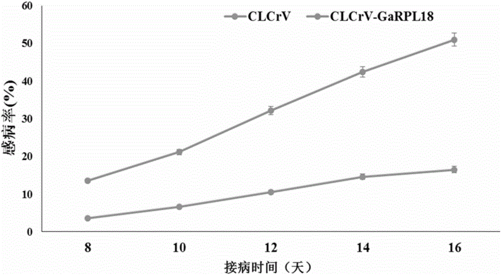 Anti-verticillium-wilt associated protein GaRPL18 of cotton and encoding gene and application thereof