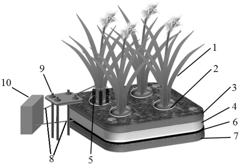 A method for in-situ remediation of water bodies using bioelectrochemical enhancement of floating ecological beds