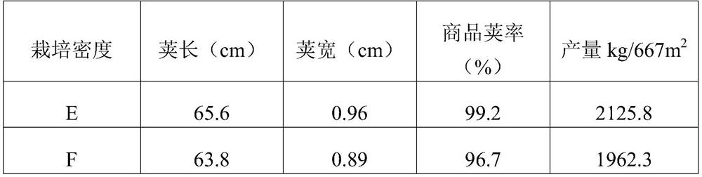 Autumn cultivation method of asparagus bean