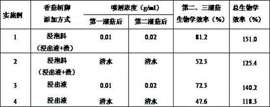 Cultivation method for pleurotus citrinipileatus sing