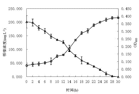 Piperazine degraded paracoccus PQ-01 and application thereof