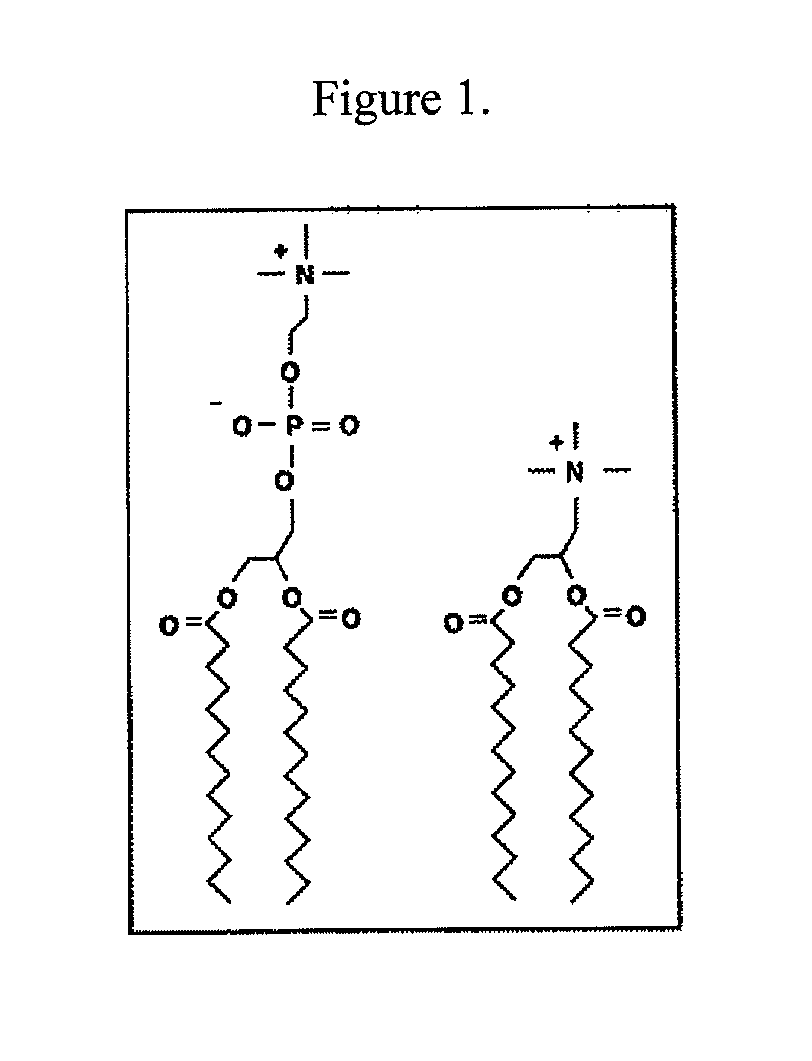 Lipophilic nucleic acid delivery vehicle and methods of use thereof