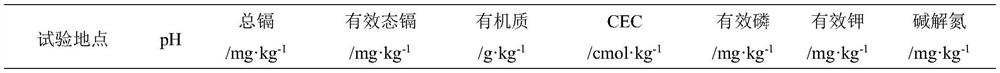 A high-efficiency passivation repair method for heavy metal cadmium pollution in moderately severe rice fields