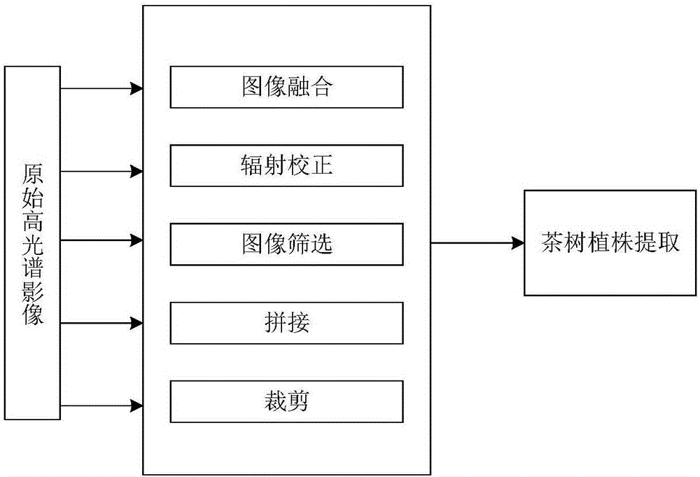 Method and system for monitoring polyphenol content in plant of large-area tea garden by remote sensing