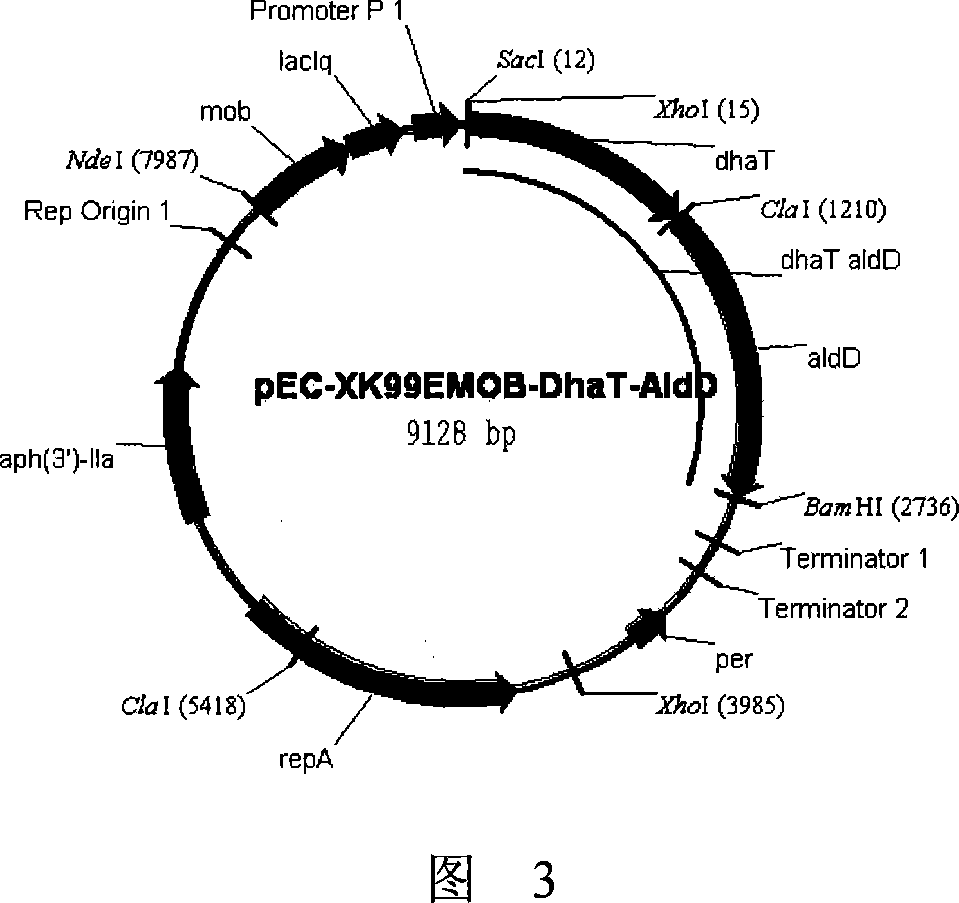 Method for producing 3-hydracrylic acid