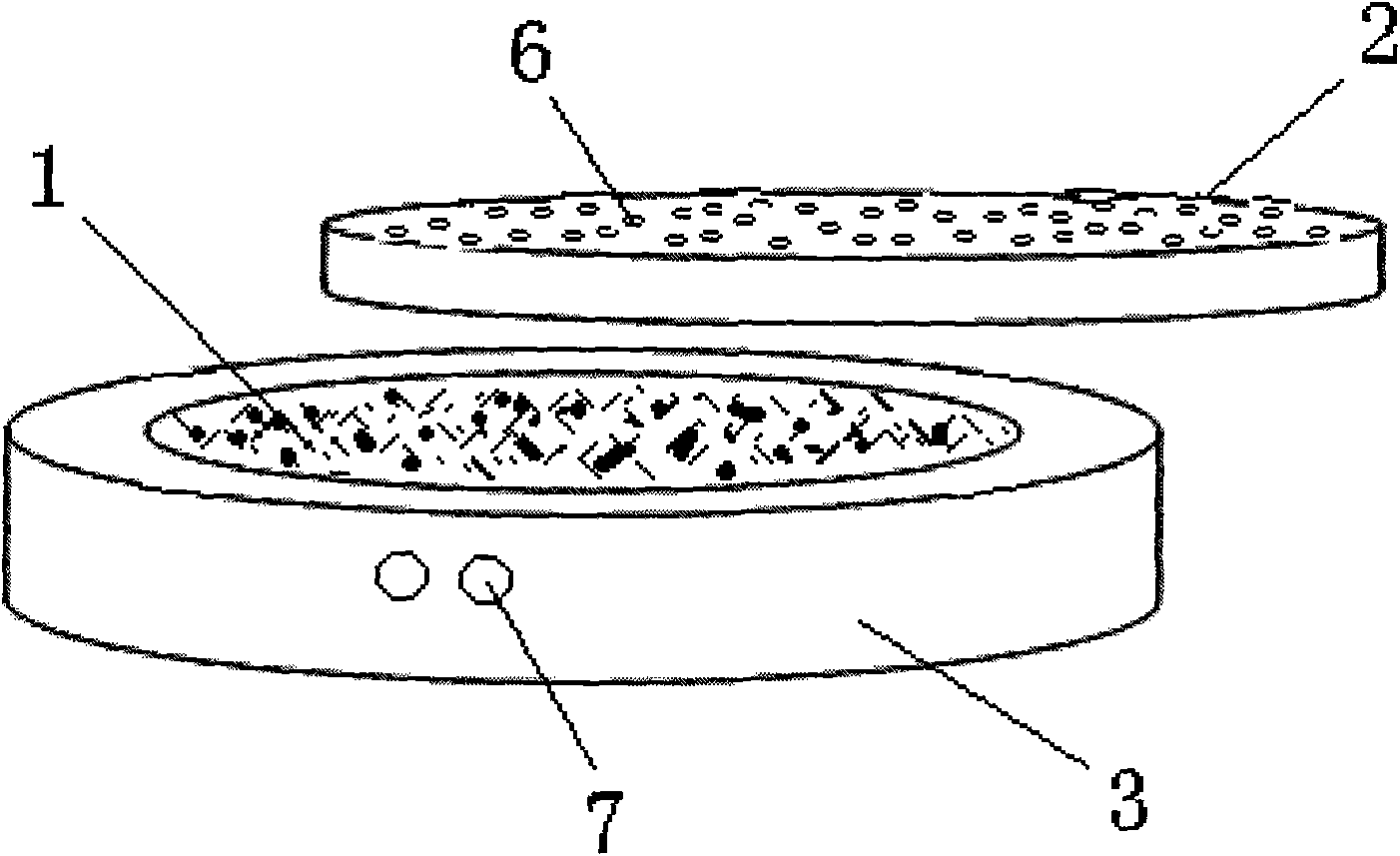 Mesogastrium treatment device