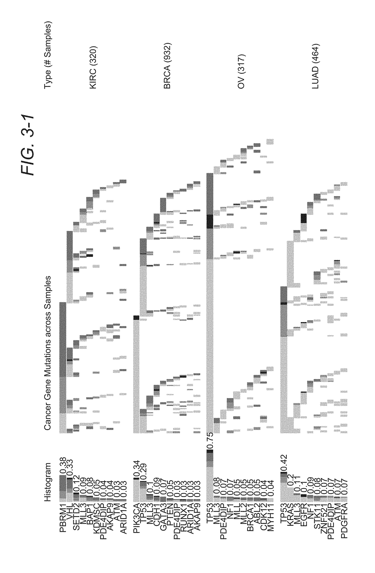 Systems and methods for RNA analysis in functional confirmation of cancer mutations