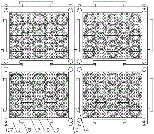 Special transporting device for batch transplanting of saplings