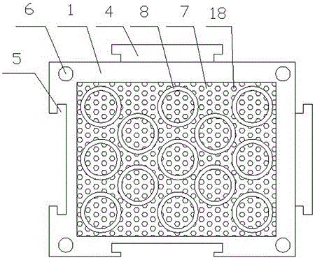 Special transporting device for batch transplanting of saplings