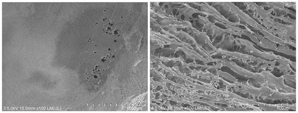 Composite nanofiber membrane containing periplaneta americana herb residue polysaccharide, and preparation method and application of composite nanofiber membrane