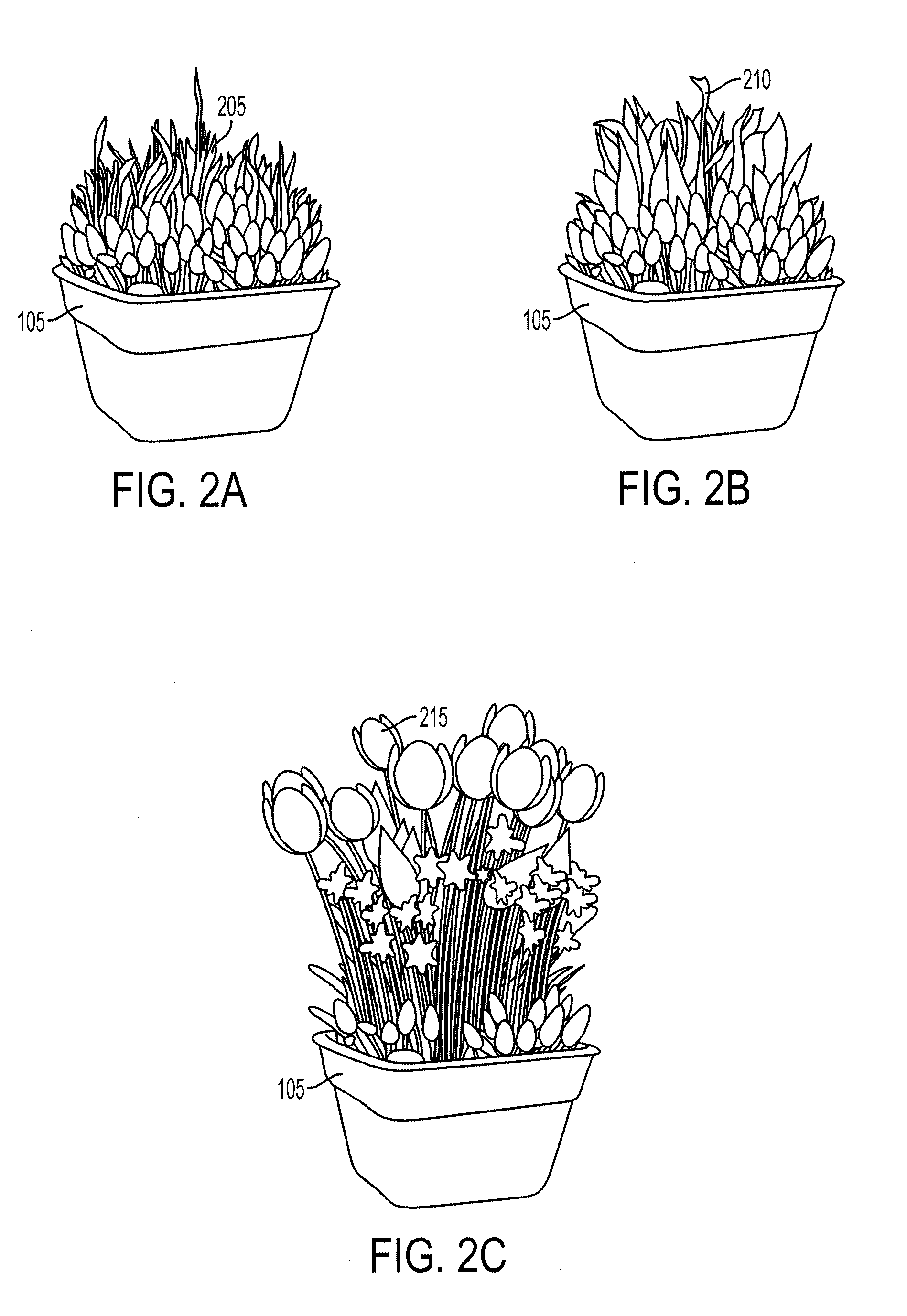 Bio-degradable pot for pre-planted bulbs